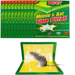 GENERICO - Trampa DE 5 PIEZAS Para Ratas Ratones Pericotes Pegamento