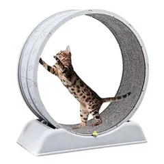4PETS - Rueda Giratoria de Ejercicio Para Gatos