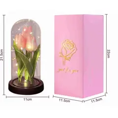 GENERICO - Cúpula con Tulipán Eterno con Luz LED Regalo color rosa