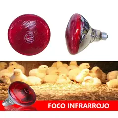 GENERICO - FOCO INFRARROJO NEXXTRA MULTIPLES USOS 175W 220v