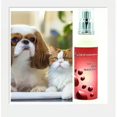 CIEN FRAGANCIAS - PERFUME VEGAN MASCOTA HEMBRA ORIENTAL FLORAL CIENFRAGANCIAS CIEN AROMAS150ML