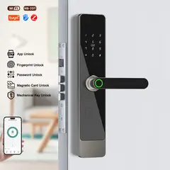 TECH CARE - Cerradura Grande Inteligente con conexión Alexa y Google