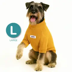 CAT OH - Cafarena Golden Vibes L Ropa para perros
