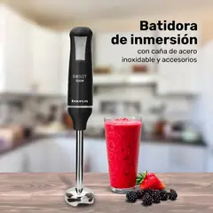 TAURUS - Batidora de Inmersion Robot 500 Plus Inox II