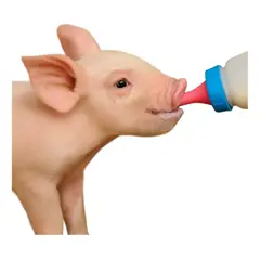 GENERICO - BIBERON BOTELLA 500ML LECHON CORDERO CACHORRO AZUL