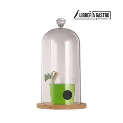 GENERICO - Campana Ahumadora transparente Alta 26 x 12.2cm acrílico.