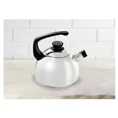 RECORD - Tetera Acero. Inox cap 3 L