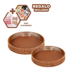 GENERICO - Pack12 Bandeja Util de 26cm en Marron Y+Regalo Agendita