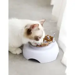 GENERICO - PLATO ANTI ESTRÉS PARA GATOS