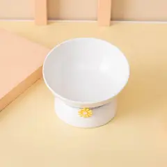 GENERICO - PLATO DE CERÁMICA PARA GATOS