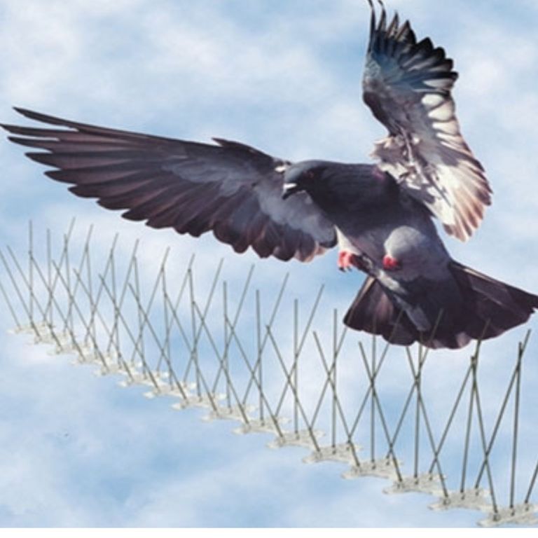 Accesorio Espanta aves Púas Anti-Aves de Acero Inoxidable 3 m (6 uni)