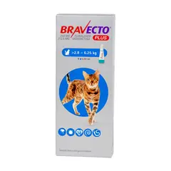 BRAVECTO - Gato Plus 2 .8-6 .25 Kg x1 Pipeta