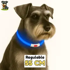 HAMACAS LIZARASO - Collar LED de 55 cm de Color Azul- Peluchin Store