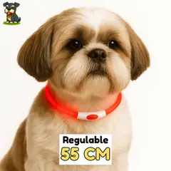 HAMACAS LIZARASO - Collar LED de 55 cm de Color Rojo - Peluchin Store