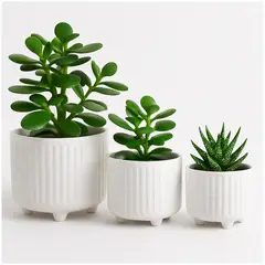 INSPIRA MARKET - Set x3 Maceteros de Cerámica Decorativo