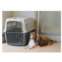 GENERICO - Kennel transportador L120 Fibra para Macotas Extra Grandes
