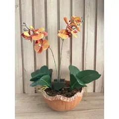 MAP DESIGN HOME - Arreglo Floral Orquideas Naranja Wood Artificial 32x53 cm