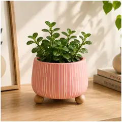 PIA HOME - Florero Macetero Decorativo Minimalista Rosa
