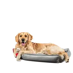 NACIONAL - CAMA PARA PERROS TALLA L 80x60 ANTIALERGICA LAVABLE GRIS