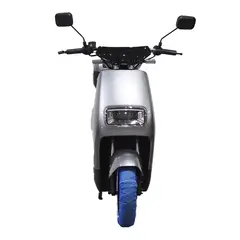 GREENLINE - Vehículo de Movilidad Personal VMP Modelo T4 GRIS