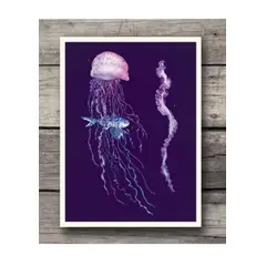 GENERICO - Oceanarium Colección Visita nuestro museo