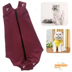 GENERICO - FAJA POST OPERATORIA MASCOTA-PERRA-GATA TALLA XS-GRANATE