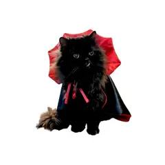 GENERICO - Capa Disfraz de drácula para Mascotas - Talla S