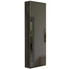 FMFURNITURE - Zapatero Organizador 1 Puerta Con Espejo Fm-058U - Café Oscuro