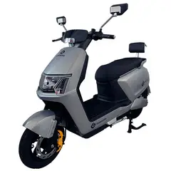 GREENLINE - Moto Eléctrica Modelo Y5 GRIS