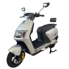 GREENLINE - Moto Eléctrica GREENLINE Modelo Y5 PLATEADO