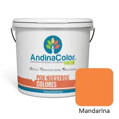 ANDINACOLOR - PINTURA PINTOR MANDARINA LATEX 1 GALON