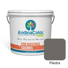 ANDINACOLOR - PINTURA PINTOR PIEDRA LATEX 1 GALON