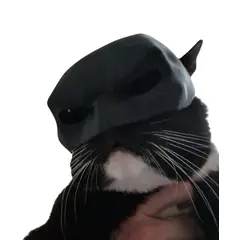 GENERICO - Máscara de Gato Murcielago