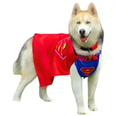 GENERICO - DISFRAZ de Halloween SUPERMAN para Mascotas Talla L