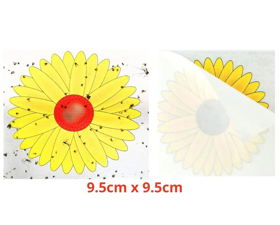 20 Trampas De Ventana Para Moscas y Mosquitos De Girasol