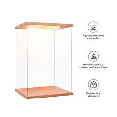 S&T - Exhibidor Acrílico M0-20 con Luz LED y Base de Madera 10x20