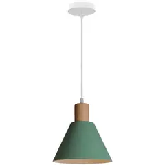 HOME NEAT - Lámpara colgante de techo de metal madera Moderno E27 ø20cm - Verde