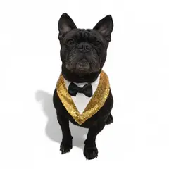 GENERICO - Bandana para Mascotas - Talla L - Año nuevo