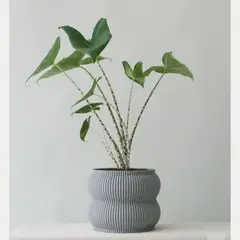 GENERICO - Porta maceta MA-Z Home N17 color Gris