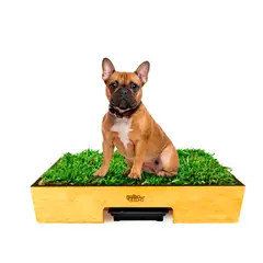 GENERICO - Sanitario de Pasto Natural con Drenaje - Talla M