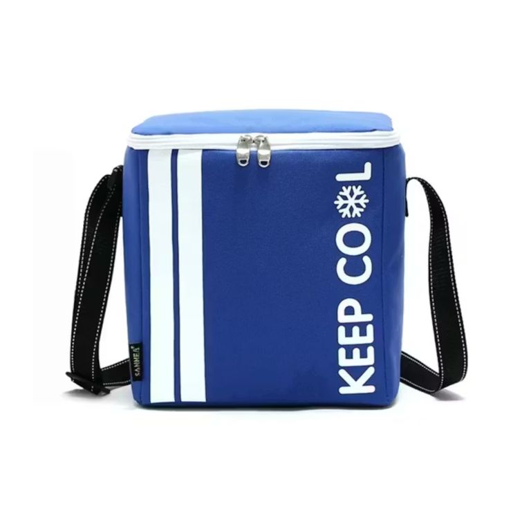 Cooler portátil plegable térmico para playa o picnic Azul