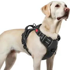 IMPORTADO MC - Arnés Ajustable para Perro Talla Large Antitirones Reflectante con Asa Color Negro