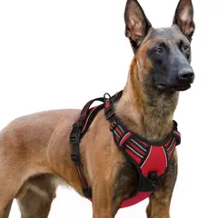 IMPORTADO MC - Arnés Ajustable para Perro Talla Extra Large Antitirones Reflectante con Asa Color Rojo