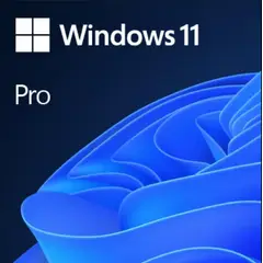 MICROSOFT - Windows 11 Pro Retail Global