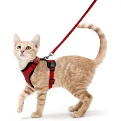 IMPORTADO MC - Perchera para Gato Ajustable a Prueba de escape con Correa Talla XS Color Rojo
