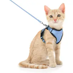 IMPORTADO MC - Perchera para Gato Ajustable a Prueba de escape con Correa Talla Small Color Azul Claro