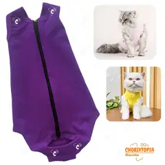 GENERICO - FAJA POST OPERATORIA MASCOTA-PERRA-GATA TALLA XS-MORADO