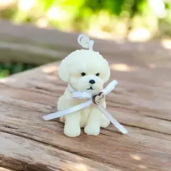 GENERICO - Vela Aromática de Cera de Soja  Perrito Bichón Perfumado