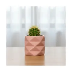 GENERICO - Maceta Pequeña Geométrica en Cerámica Rosado