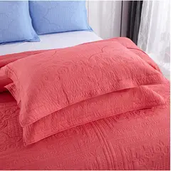 TIOZONEY - Fundas de Almohada esponjosas 2 PCS 50 x70 cm